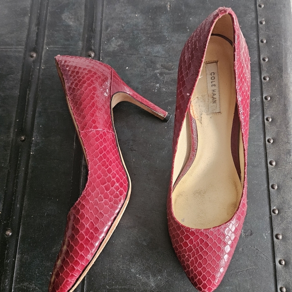 Cole Haan Lizard Print Heels - Picture 2 of 7